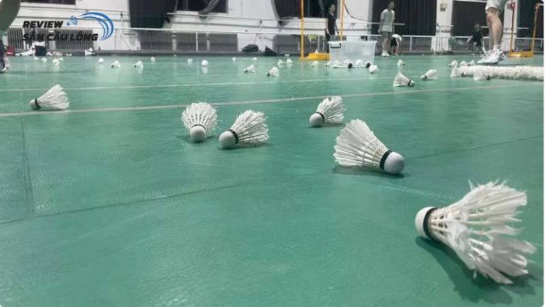 sân cầu lông tỉnh Hòa Bình