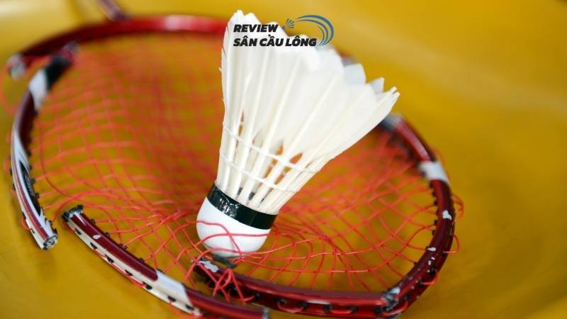 Viet Sports – Địa chỉ hàn vợt cầu lông TPHCM siêu tốc, nhanh chóng chỉ từ 3-5 ngày
