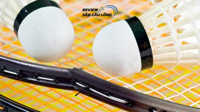 VNB Sports – Hệ thống cung cấp dịch vụ hàn vợt cầu lông TPHCM uy tín, chất lượng và chuyên nghiệp!